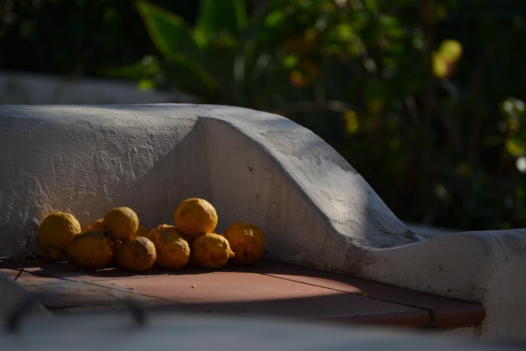 Schicciolina Villa Stromboli Dış mekan fotoğraf