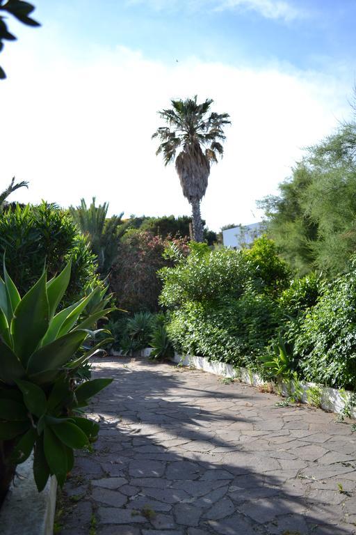 Schicciolina Villa Stromboli Dış mekan fotoğraf